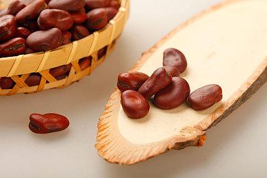 新《动森》要来？知名主播称7月将举办任天堂直面会